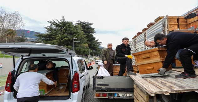 Arıcılık Bursa'da Büyükşehir'le Canlandı