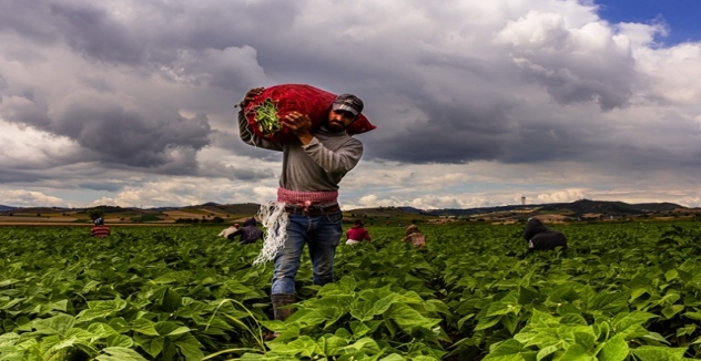 Başkan Ercan Özel : “Tarımı Geliştiren Sanayi ve Ticareti Birlikte Büyüten Bir Anlayışla İlerliyoruz”   