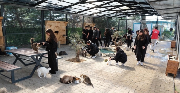 Gençlerden Patili Canlara Ziyaret