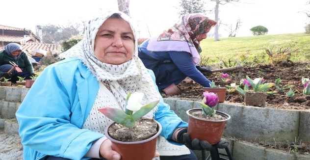 Osmangazi’nin Her Bir Noktası Çiçek Açtı 