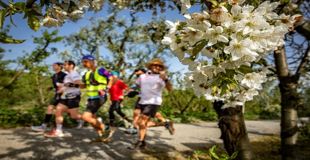 Türkiye'nin En Uzun Maratonuna Sayılı Saatler