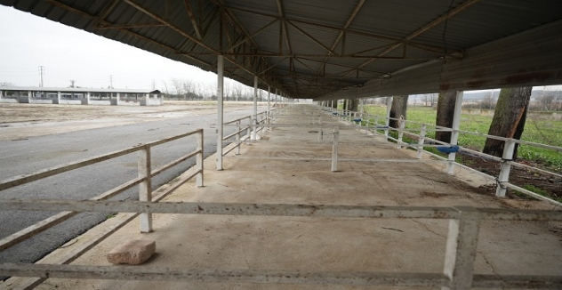 Yenişehir'de Canlı Hayvan Pazarı Yeniden Açıldı