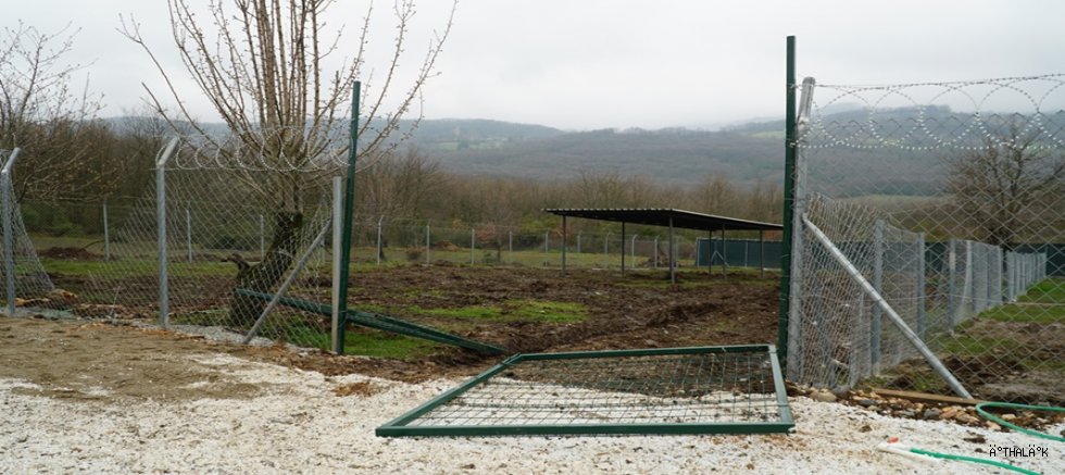 Belediye Doğal Yaşam Alanına Çirkin Saldırı 