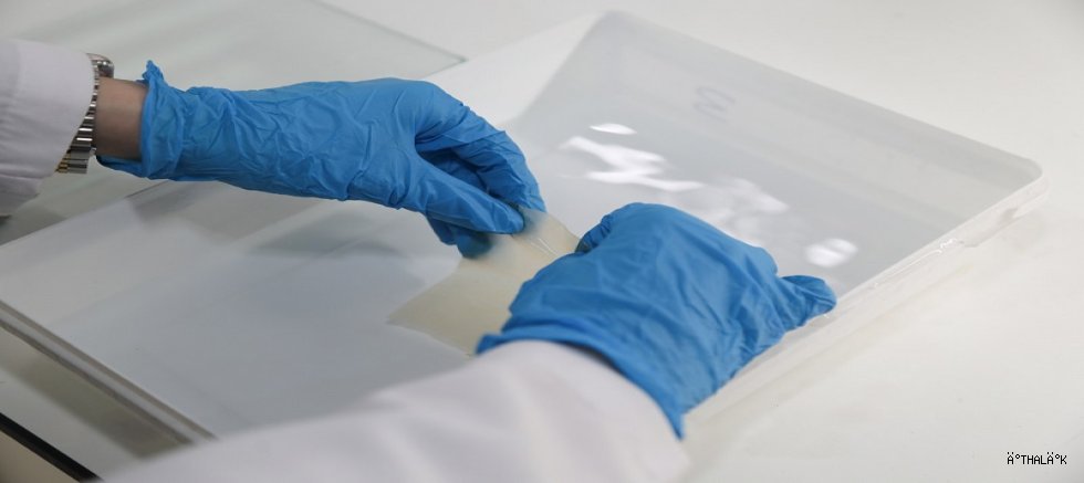 BTÜ’den Diş İyileşme Sürecini Güçlendirecek Yerli Malzeme