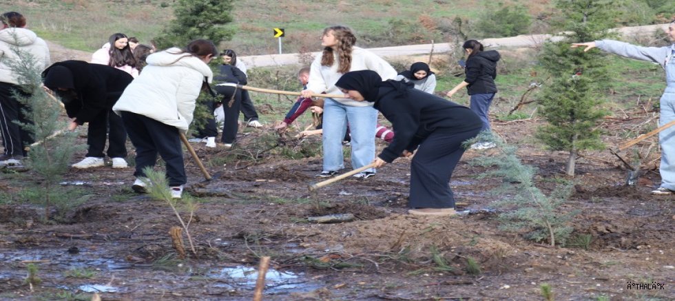 Bursa BUSEDER On Bin Fidanı Toprakla Buluşturdu