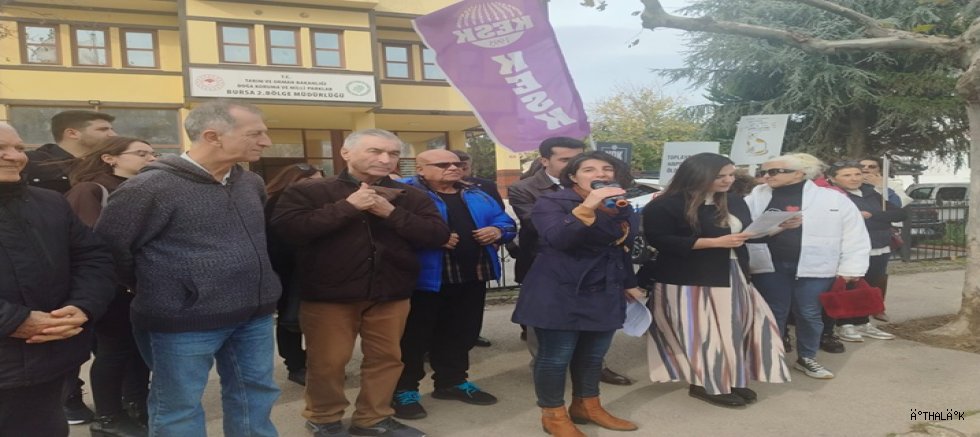 Bursa'da Sahipsiz Hayvanların Toplanmasına Beslenme Yasağına STK'lardan Tepki