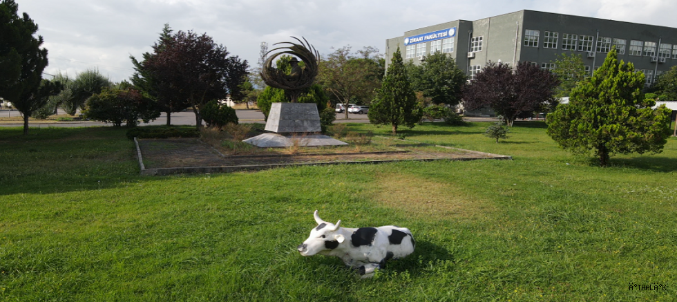 BUÜ, Ziraat ve Ormancılık Alanında Dünyada İlk 500’de!