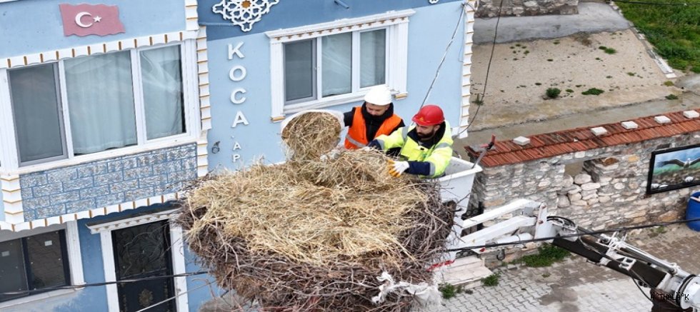 Dünyanın Takip Ettiği Dostluk Yaren Leylek Bu Yıl da Geldi