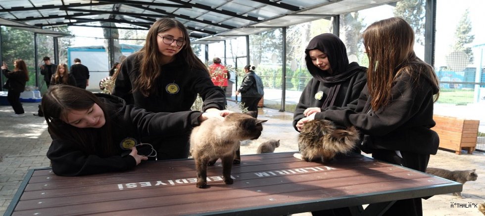 Gençlerden Patili Canlara Ziyaret