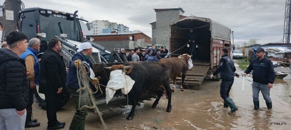 Karacabey Belediyesi Sahada