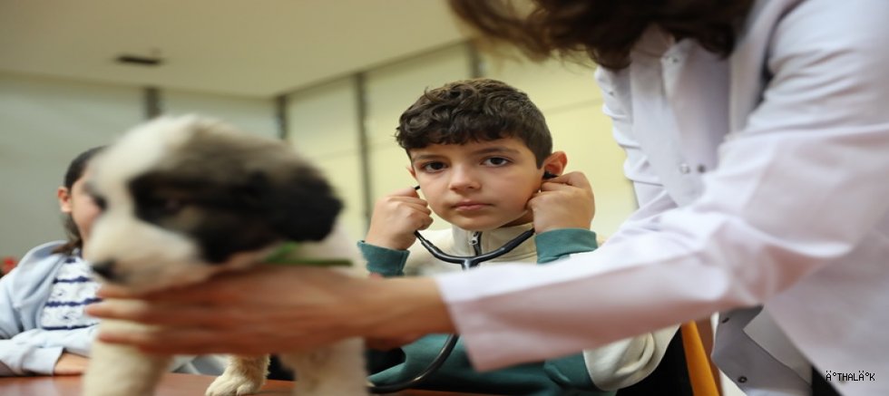 Minik Veterinerler Görev Başında