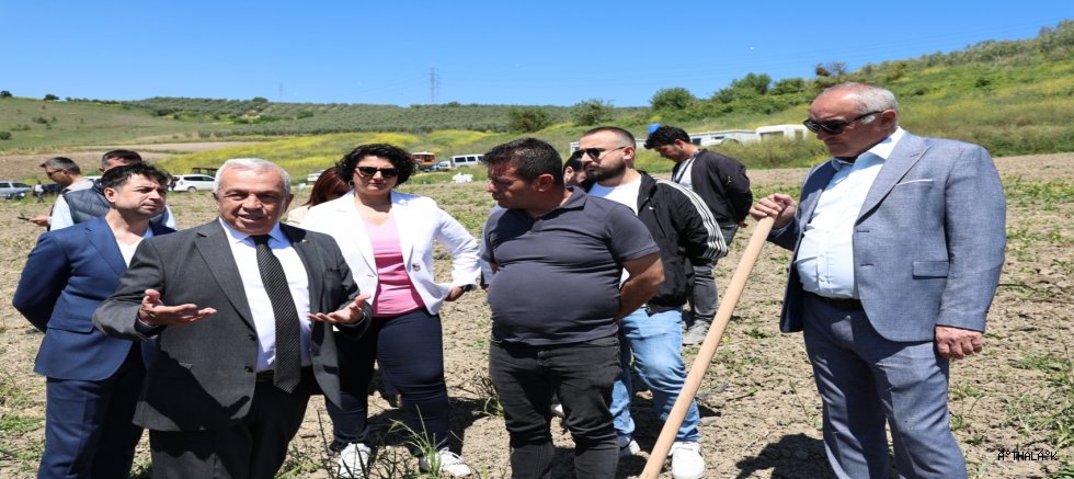 Nilüfer Belediyesi Konaklı’ya 800 Zeytin Fidanı Dikti