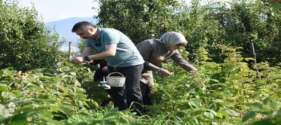 Yıldırım Belediyesi'nden Üreten Kadınlara Destek