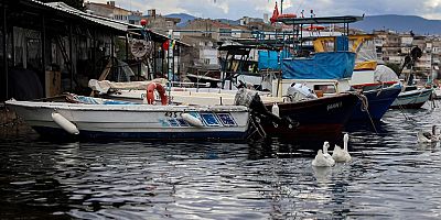 Balık Sizden, Mazot Bizden