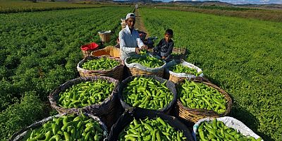 Başkan Ercan Özel : “Tarımı Geliştiren Sanayi ve Ticareti Birlikte Büyüten Bir Anlayışla İlerliyoruz”   