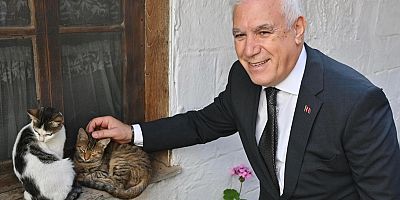 Bursa Büyükşehir Patili Dostların Yanında