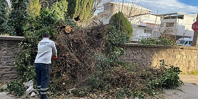 Bursa Büyükşehir, Şiddetli Rüzgara Karşı Teyakkuzda