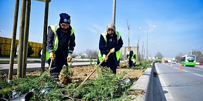 Bursa'da Cadde ve Bulvarlara Estetik Dokunuş