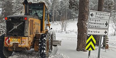 Bursa'da Kar Yağışı Başladı: Büyükşehir Ekipleri Sahada