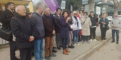 Bursa'da Sahipsiz Hayvanların Toplanmasına Beslenme Yasağına STK'lardan Tepki