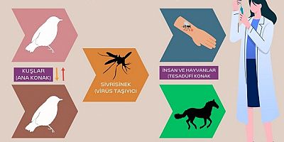 Bursa Tek Sağlık Platformu, Batı Nil Virüsü Basın Açıklaması