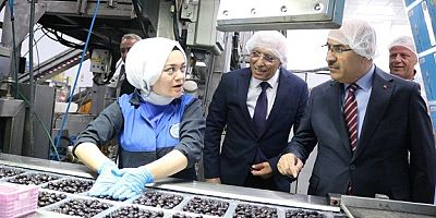 Bursa Valisi Mahmut Demirtaş Marmarabirlik’i Ziyaret Etti