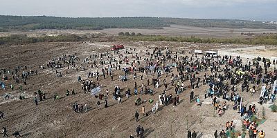 BUÜ’de 10 Bin Fidan Geleceğe Nefes Olacak