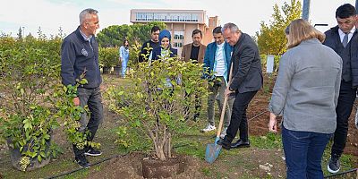 BUÜ’nün 50. Yıl Sokağı Açılış Hazırlıkları Fidanlarla Renklendirildi