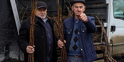 Büyükşehir’de Üreticiye Fidan ve Tohum Desteği