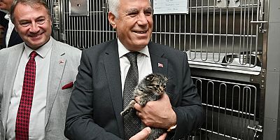 Büyükşehir’den Can Dostlara Şefkat Eli