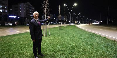 Çalı Yolu Büyükşehir İle Aydınlandı