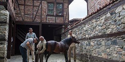 Erasmuslu Öğrenciler Bursa Hayvanat Bahçesi’nde