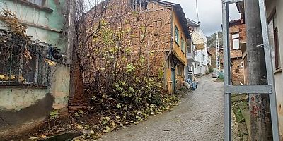 Gemlik Belediyesi'nden Metruk Bina Temizliği