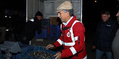 Gemlik Belediyesi Yağlık Zeytin Alımlarına Umurbey'de Devam Etti 