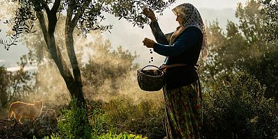 Gemlik’in Güzellikleri 4. Fotoğraf Maratonu’nda Objektiflere Yansıdı