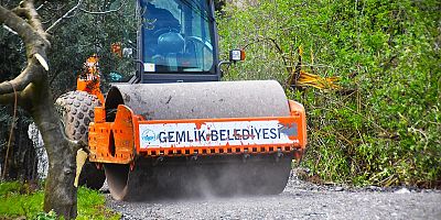 Gemlik'te Patili Canlar Yeni Yuvalarına Kavuşuyor