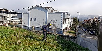 Gemlik'te Yeşil Seferberlik