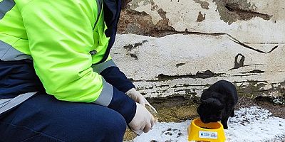 Kar bastırdı, Büyükşehir Can Dostları Unutmadı