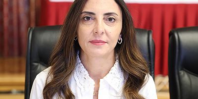 Kayışoğlu “İnsan Hakları İhlalleri Artıyor, Denetim Mekanizmaları Yok”