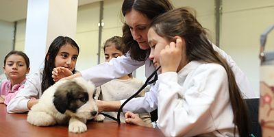 Minik Veterinerler Görev Başında