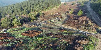 Mudanya Belediyesi Kendi Enerjisini Üretecek