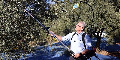 Mudanya Zeytin Turizmiyle Markalaşacak