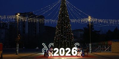 Nilüfer Yeni Yıla Hazır