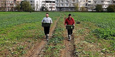 Osmangazi Belediyesi Doğal Üretimle Sofralara Sağlık Sunuyor 