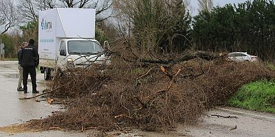 Osmangazi Belediyesi’nden Lodosa Karşı Etkin Müdahale
