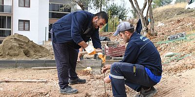 Osmangazi’de Mahalleler Yeni Park Alanlarıyla Güzelleşiyor