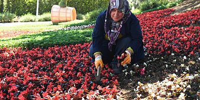 Osmangazi’nin Her Yeri Çiçek Kokuyor