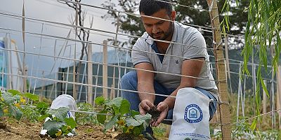 Pazar Atıkları Üretime Can Oluyor