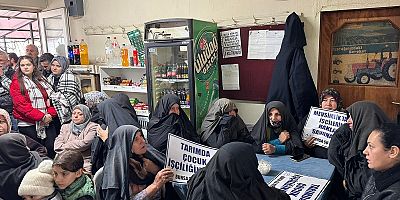 Sarıbal: İliç'ten Kirazlıyayla'ya Aynı Senaryo. Zehir, Yıkım, Cezasızlık