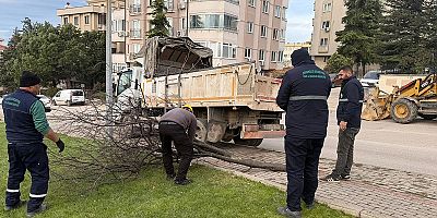Şiddetli Lodosun Devirdiği Ağaçlara Osmangazi Belediyesi’nden Anında Müdahale
